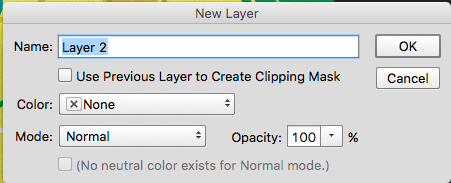 Photoshop confirm new layer